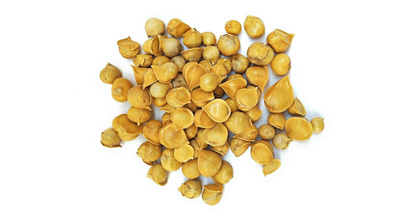 Kashmiri Garlic or Mountain Garlic